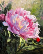 "Perfect Peony," 10 x 8 inches, Oil. Sold.