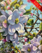 "Apple Blossoms," 10 x 8 inches, Oil. Sold.