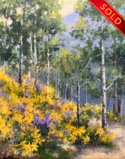 "Aspens and Wildflowers," 10 x 8 inches, Oil. Sold.
