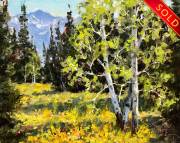 "Mountain Aspen," 8 x 10 inches, Oil. Sold.