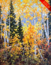 "Aspen Glory," 30 x 24 inches, Oil. Sold.