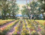 "Summer Blooms," 8 x 10 inches, Oil.