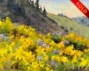 "Chamisa Flax," 8 x 10 inches, Oil. Sold.