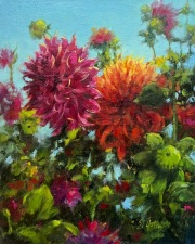 "Dahlia Delight," 10 x 8 inches, Oil.