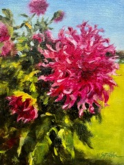 "Pink Dahlias," 8 x 6 inches, Oil.