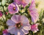 "Sun Kissed Hollyhocks," 10 x 8 inches, Oil. Sold.