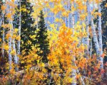 "Aspen Glory," 30 x 24 inches, Oil. Sold.