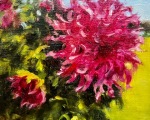 "Pink Dahlias," 8 x 6 inches, Oil.