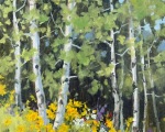 “Summer Aspens," 10 x 8 inches, oil on linen panel.