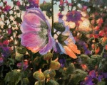 "Sunrise Hollyhocks," 10 x 10 inches, Oil.